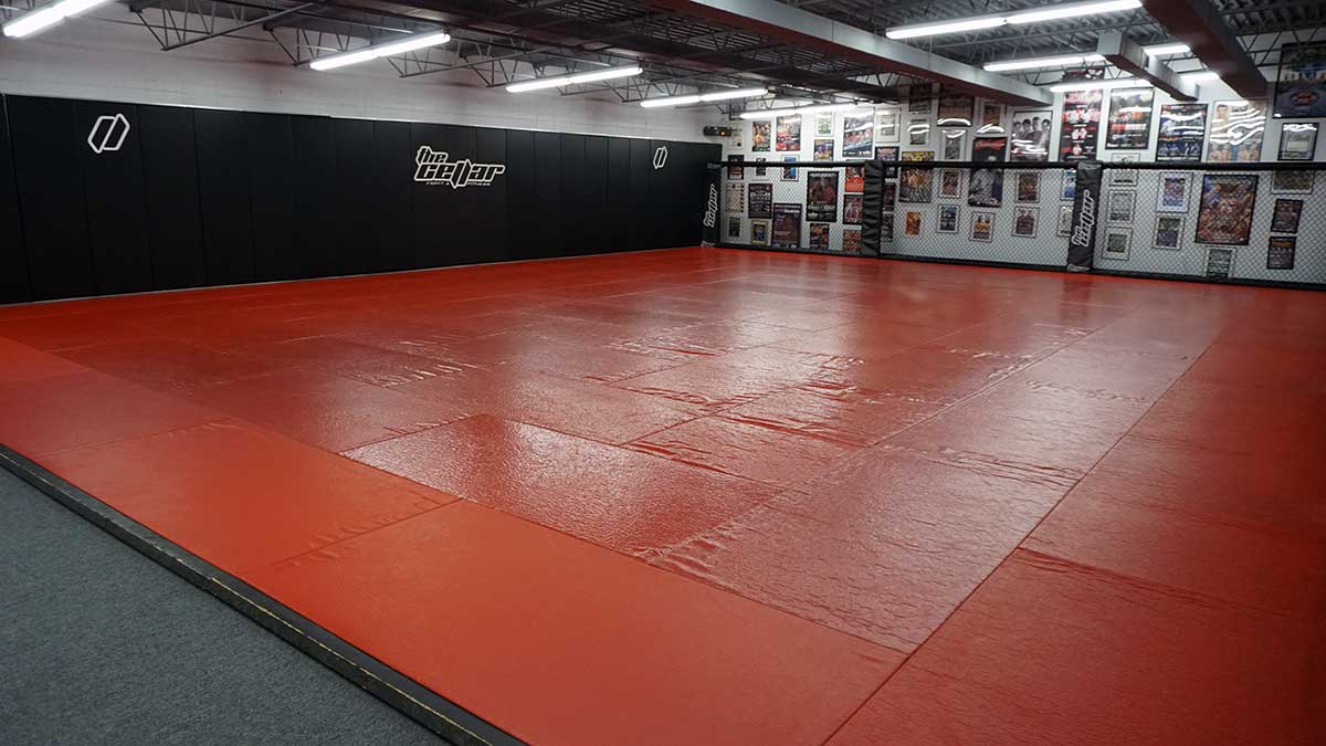 The Facility The Cellar Gym Roseville, MN 6123552259