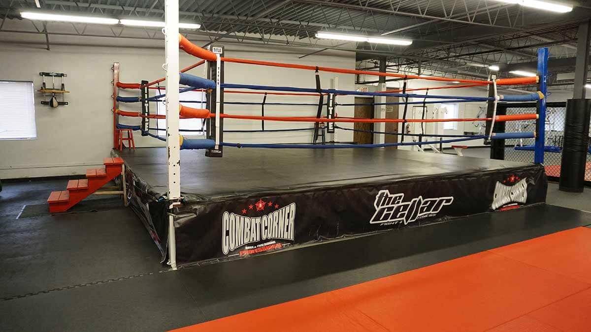 The Facility The Cellar Gym Roseville, MN 6123552259