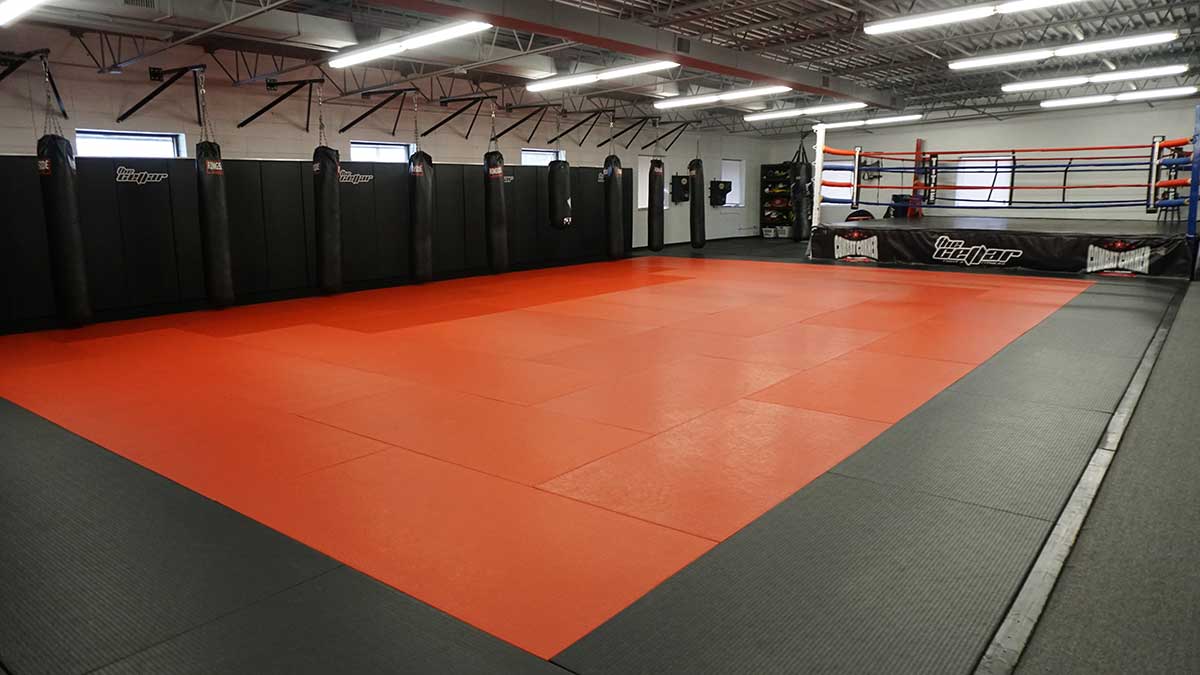 The Facility The Cellar Gym Roseville, MN 6123552259